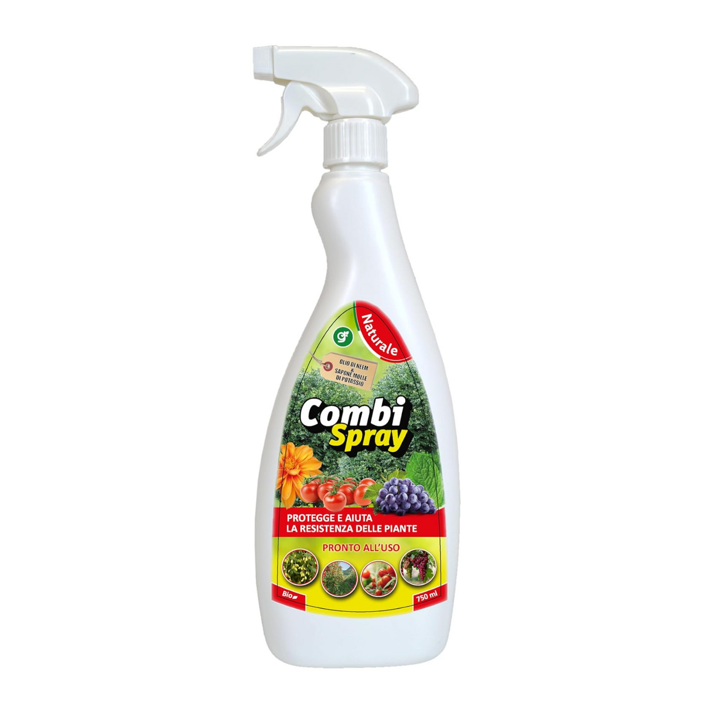 Olio di neem + sapone molle di potassio spray - potenziatone delle difese delle piante, naturale biologico 750 ml FBA