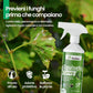 Equiseto Spray 500 Ml | Pronto All’Uso | Protettivo Naturale Preventivo | Difesa Contro Oidio E Peronospora | per Orti, Frutteti E Colture Biologiche