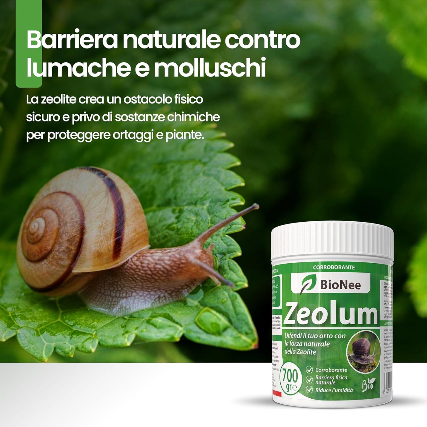 Zeolum – Barriera Naturale a Base Di Zeolite per Orto E Giardino | Corroborante Antilumache per Uso Hobbistico | Polvere Asciutta O Nebulizzata | Agricoltura Biologica