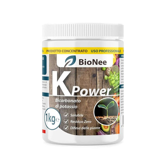 Bicarbonato di Potassio Puro - Fertilizzante Antifungino per Piante, Orto e Piante da Frutto, Supporta la Crescita e la Salute Vegetale - 1 kg - FBA Verdecobre