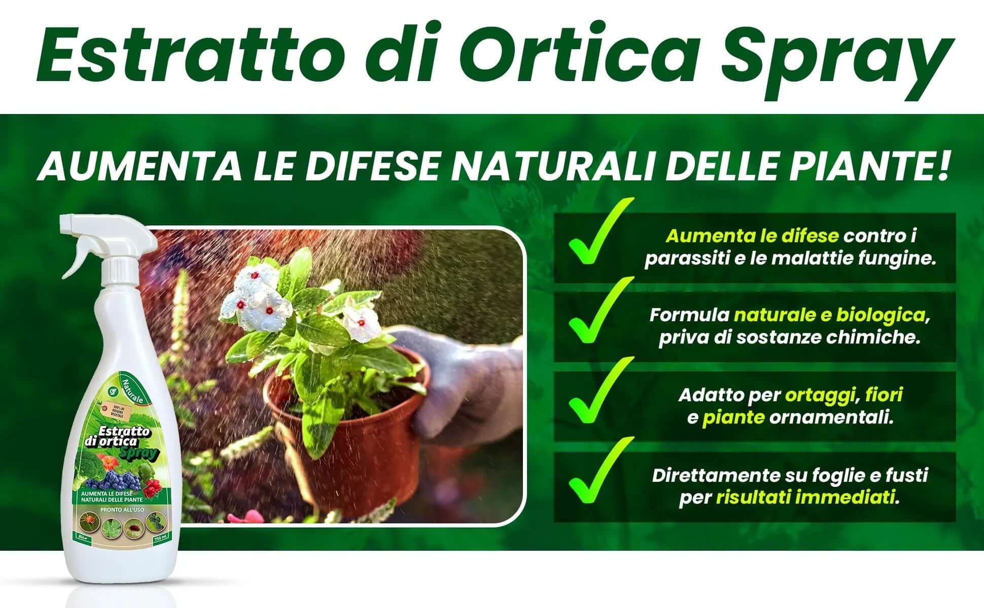 Insetticida Naturale per Piante 750 ml - A Base di Estratto Biologico di Ortica - Efficace Contro Cocciniglia, Afidi, Ragnetto Rosso e Pidocchi - Spray Verdecobre