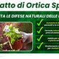 Insetticida Naturale per Piante 750 ml - A Base di Estratto Biologico di Ortica - Efficace Contro Cocciniglia, Afidi, Ragnetto Rosso e Pidocchi - Spray Verdecobre
