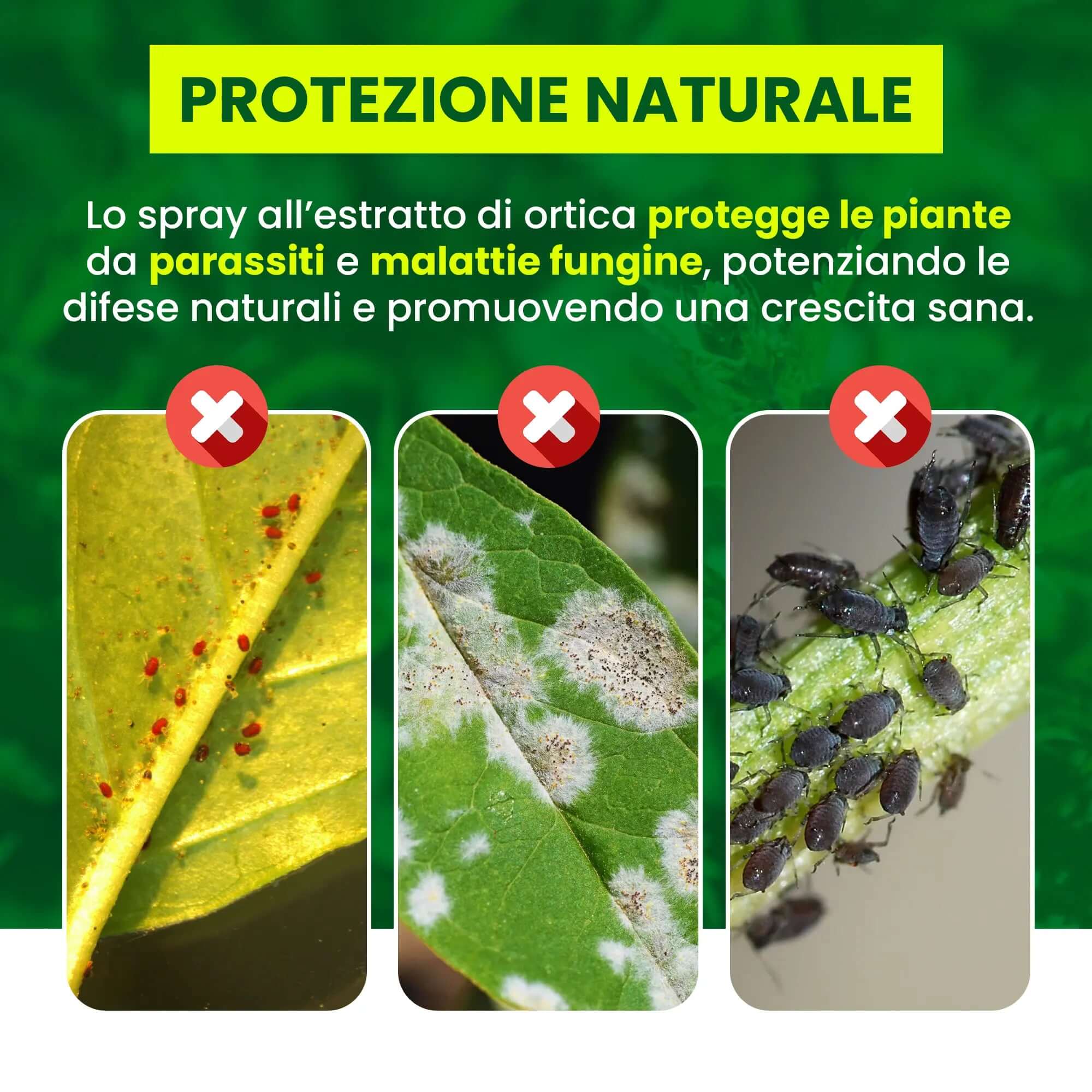 Insetticida Naturale per Piante 750 ml - A Base di Estratto Biologico di Ortica - Efficace Contro Cocciniglia, Afidi, Ragnetto Rosso e Pidocchi - Spray Verdecobre