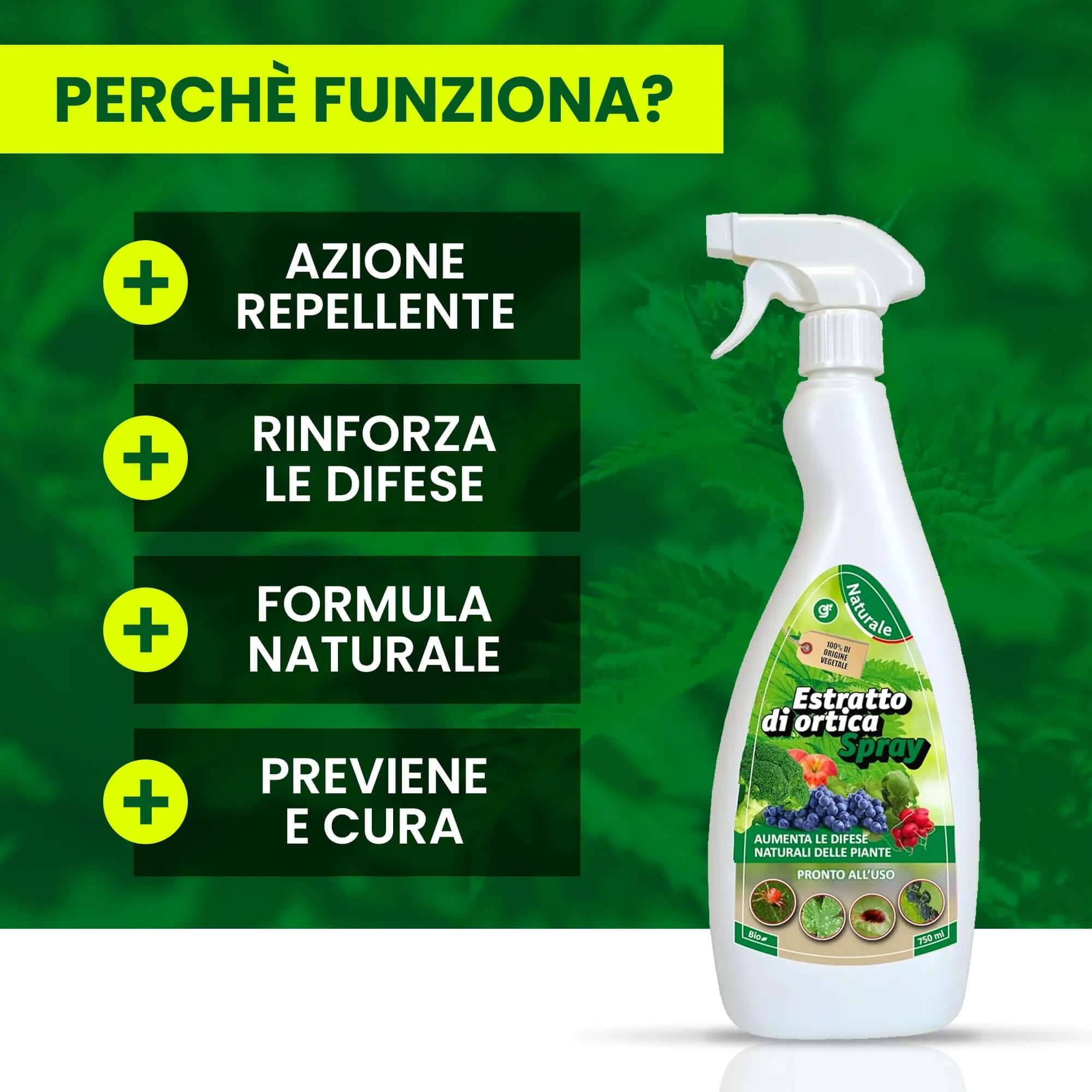 Insetticida Naturale per Piante 750 ml - A Base di Estratto Biologico di Ortica - Efficace Contro Cocciniglia, Afidi, Ragnetto Rosso e Pidocchi - Spray Verdecobre