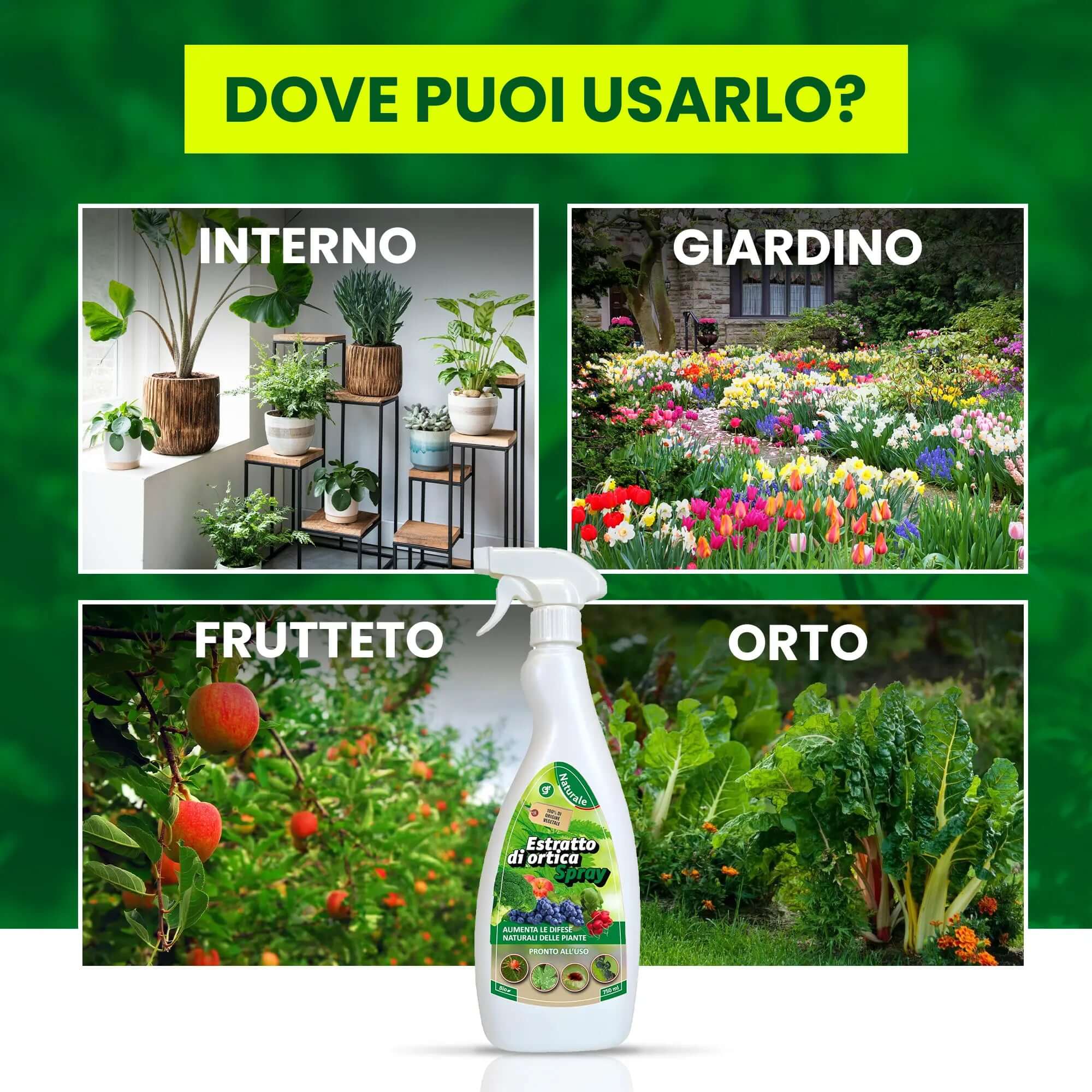 Insetticida Naturale per Piante 750 ml - A Base di Estratto Biologico di Ortica - Efficace Contro Cocciniglia, Afidi, Ragnetto Rosso e Pidocchi - Spray Verdecobre