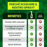 Insetticida Naturale per Piante 750 ml - A Base di Estratto Biologico di Ortica - Efficace Contro Cocciniglia, Afidi, Ragnetto Rosso e Pidocchi - Spray Verdecobre