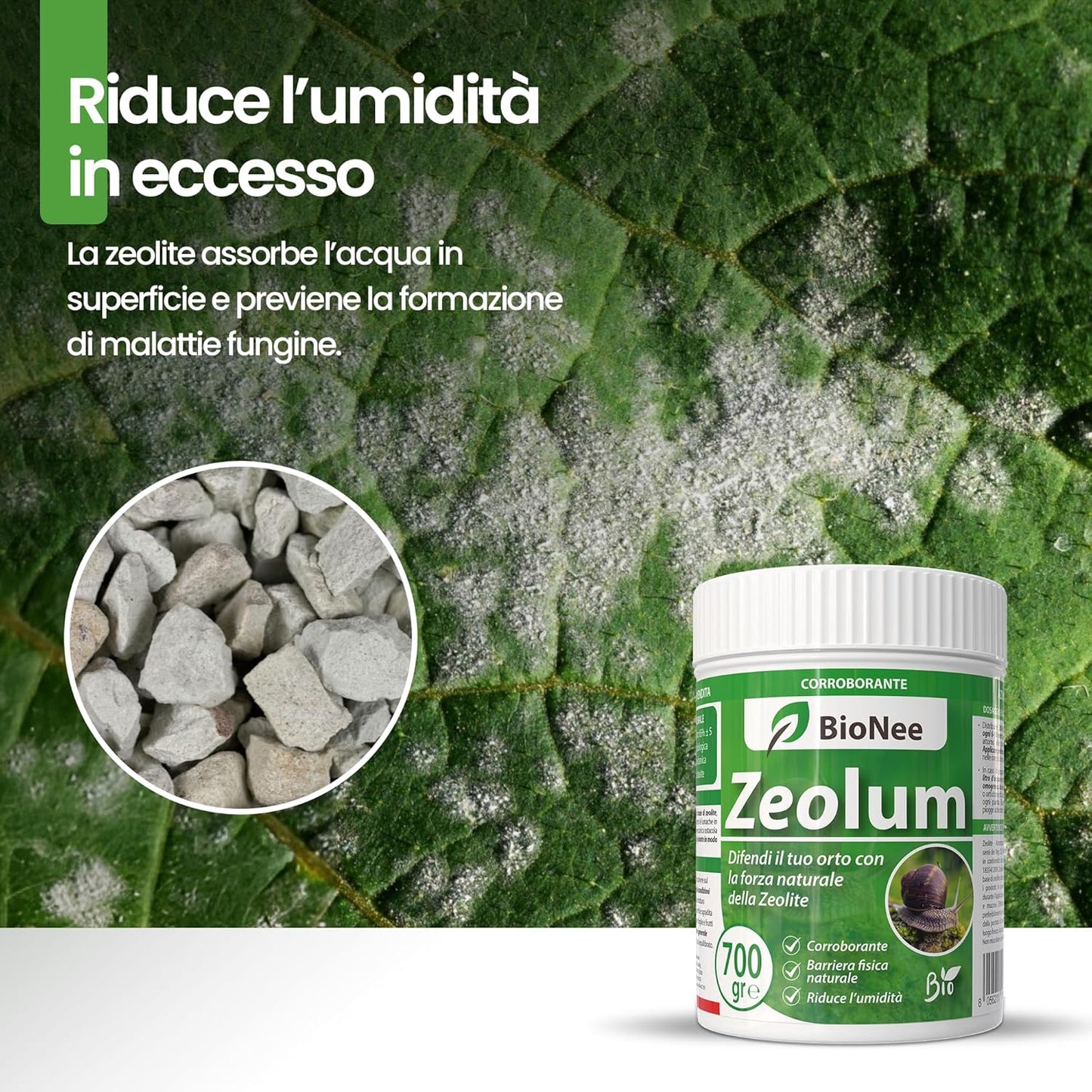 Zeolum – Barriera Naturale a Base Di Zeolite per Orto E Giardino | Corroborante Antilumache per Uso Hobbistico | Polvere Asciutta O Nebulizzata | Agricoltura Biologica