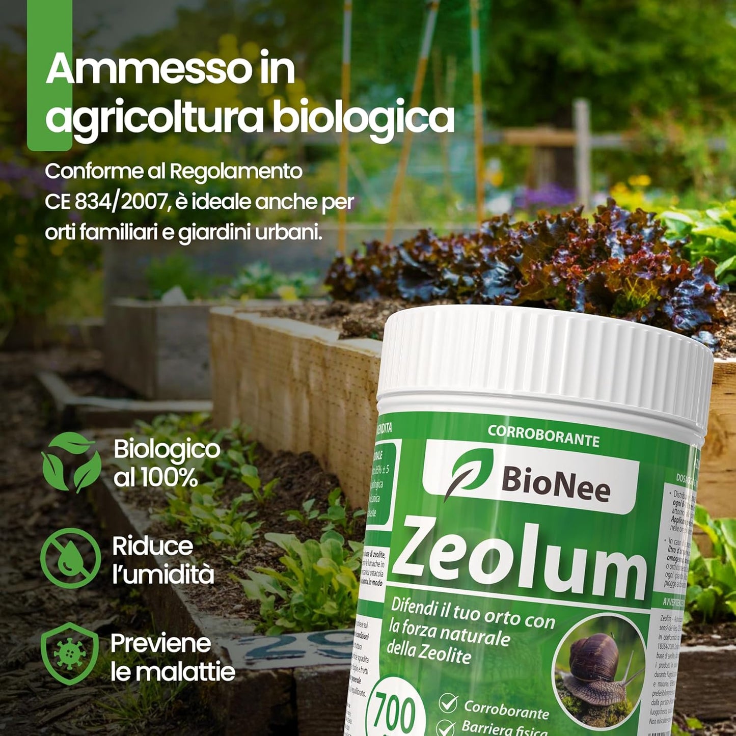 Zeolum – Barriera Naturale a Base Di Zeolite per Orto E Giardino | Corroborante Antilumache per Uso Hobbistico | Polvere Asciutta O Nebulizzata | Agricoltura Biologica