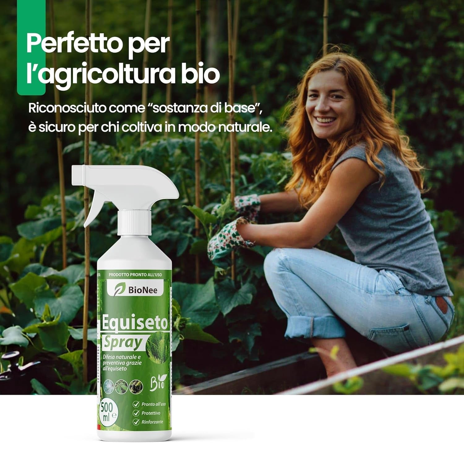 Equiseto Spray 500 Ml | Pronto All’Uso | Protettivo Naturale Preventivo | Difesa Contro Oidio E Peronospora | per Orti, Frutteti E Colture Biologiche