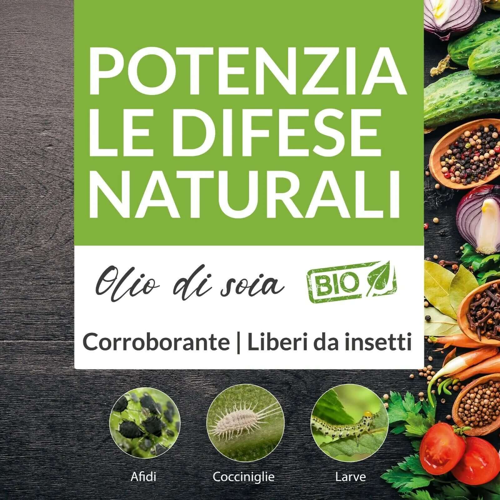 Insetticida Bio 100% Naturale Olio di Soia Concentrato POTENZIA LE DIFESE 1 Lt-Verdecobre